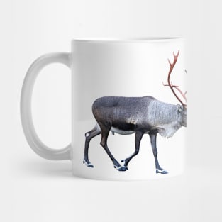 Lapland Mug